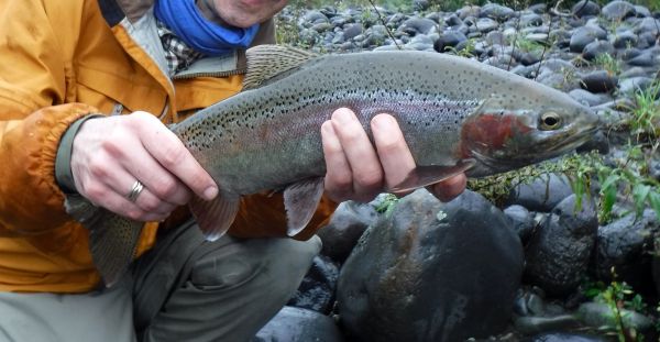 Daniel with his second from the same Upper river pool.