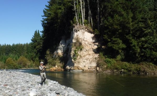 Ben chasing one along the Cliff pool.