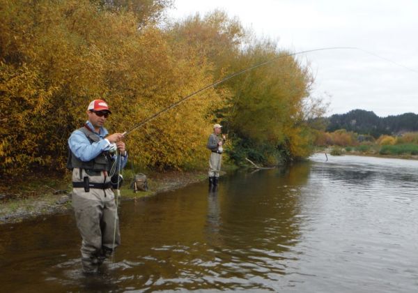 Sean hooked up again in the lower river. In the backround father-in-law Scot is debating where to stick his rod.