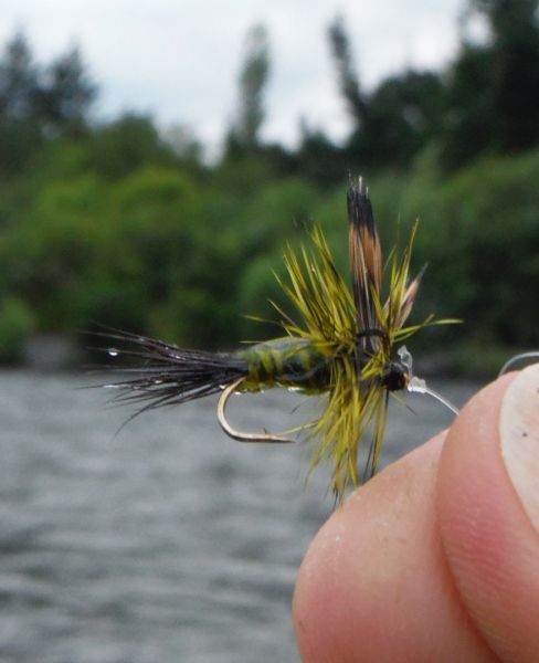 The Green Drake works well on the river particularly during the evening rise and don't worry if it drowns during the drift.