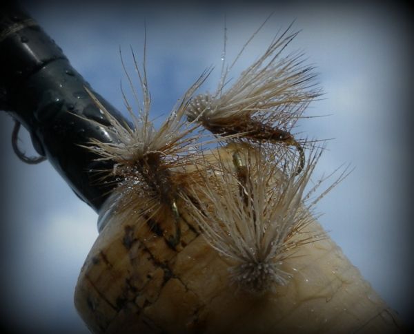 Al Troths' Elk Hair Caddis.
