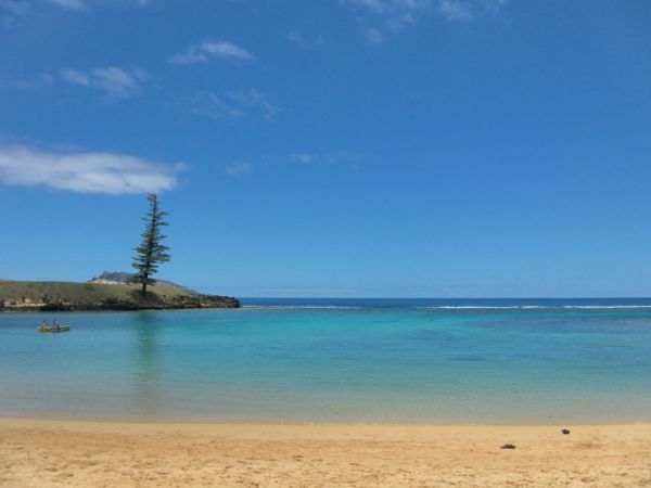Lone Pine headland