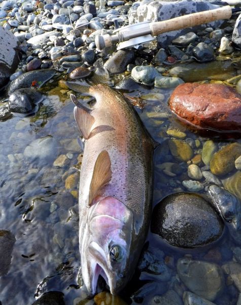 The upper river was best for me this week.