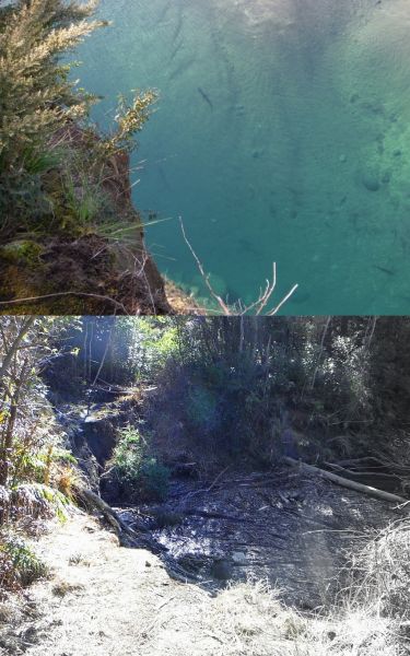 Plenty of rainbows in the lagoon but the old path around parts of it has gone.