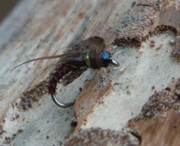 Mercer's Little Brown Bug available from Creel Tackle.