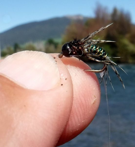 They love this one in the right water.