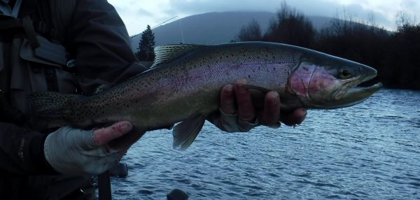 Simon with a lively jack caught in Judges.