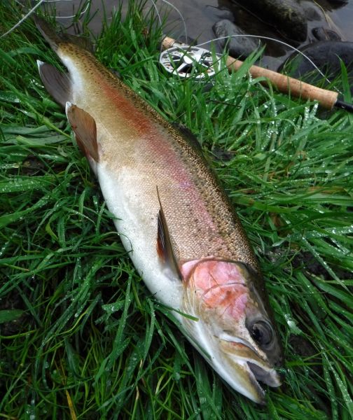 Fishing water that others ignore can sometimes pay off.