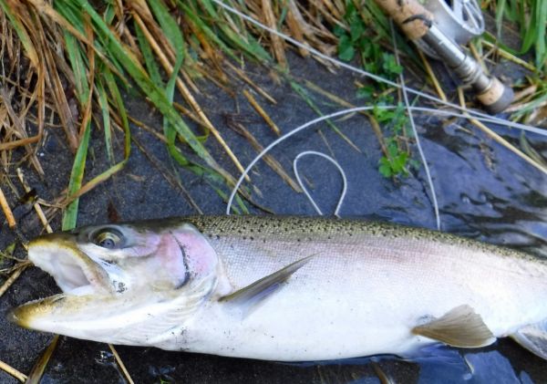 Another less than a rod out.