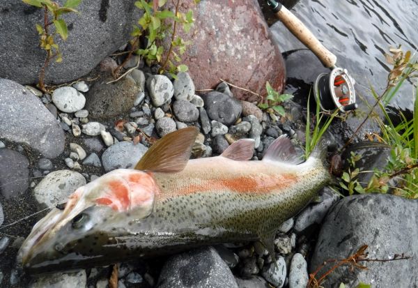 The spawning flush on this jack ...