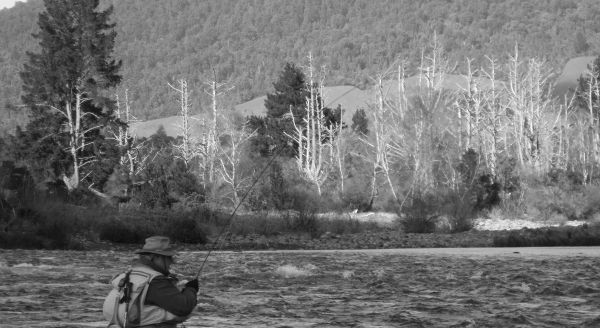 An angler landing one in the wind at the beginning of the week