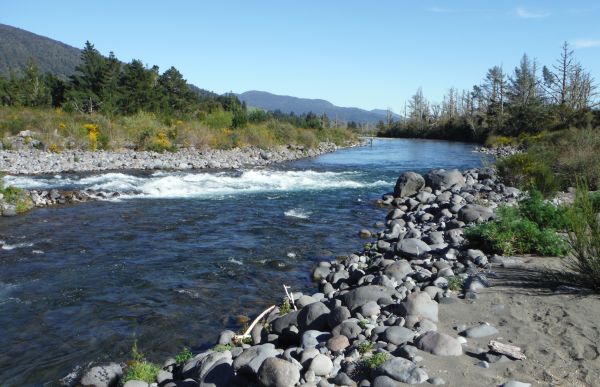 I only saw three other anglers all day on the Upper river