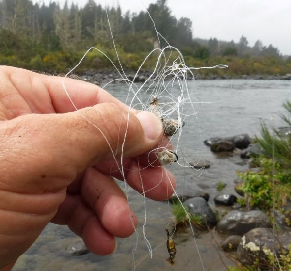 An all to common sight along the river.