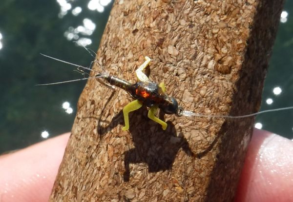 Synthetic paint brush bristles make great tails.