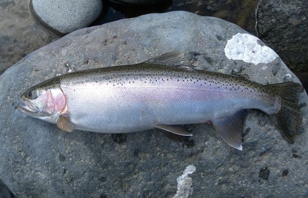 September rainbow