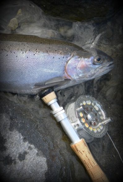 A nice fish from Boulder Reach.