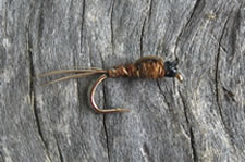 pheasant tail