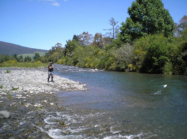 river11
